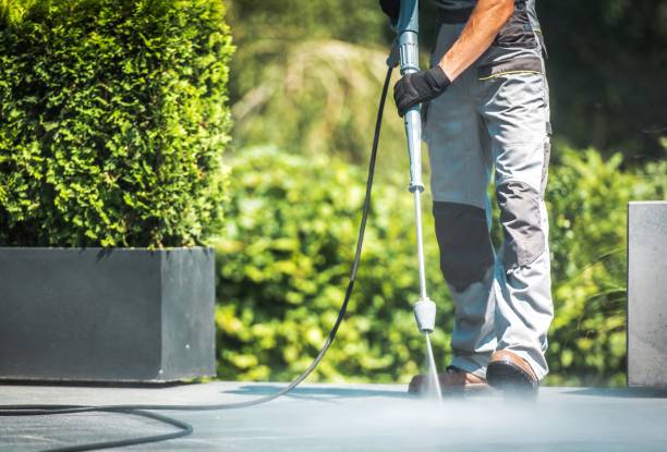 Best Spring Cleaning  in Arp, TX