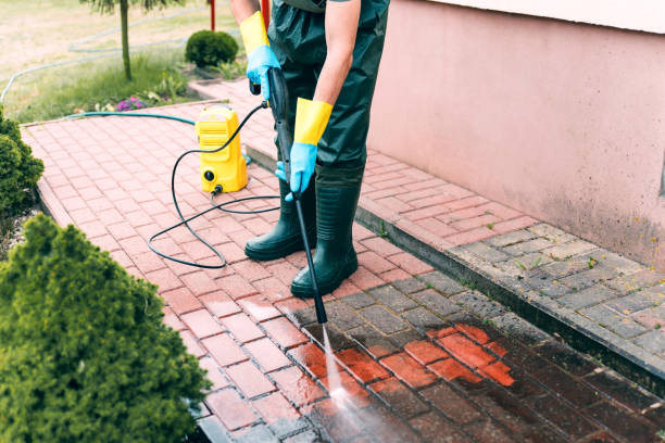 Best Solar Panel Cleaning  in Arp, TX